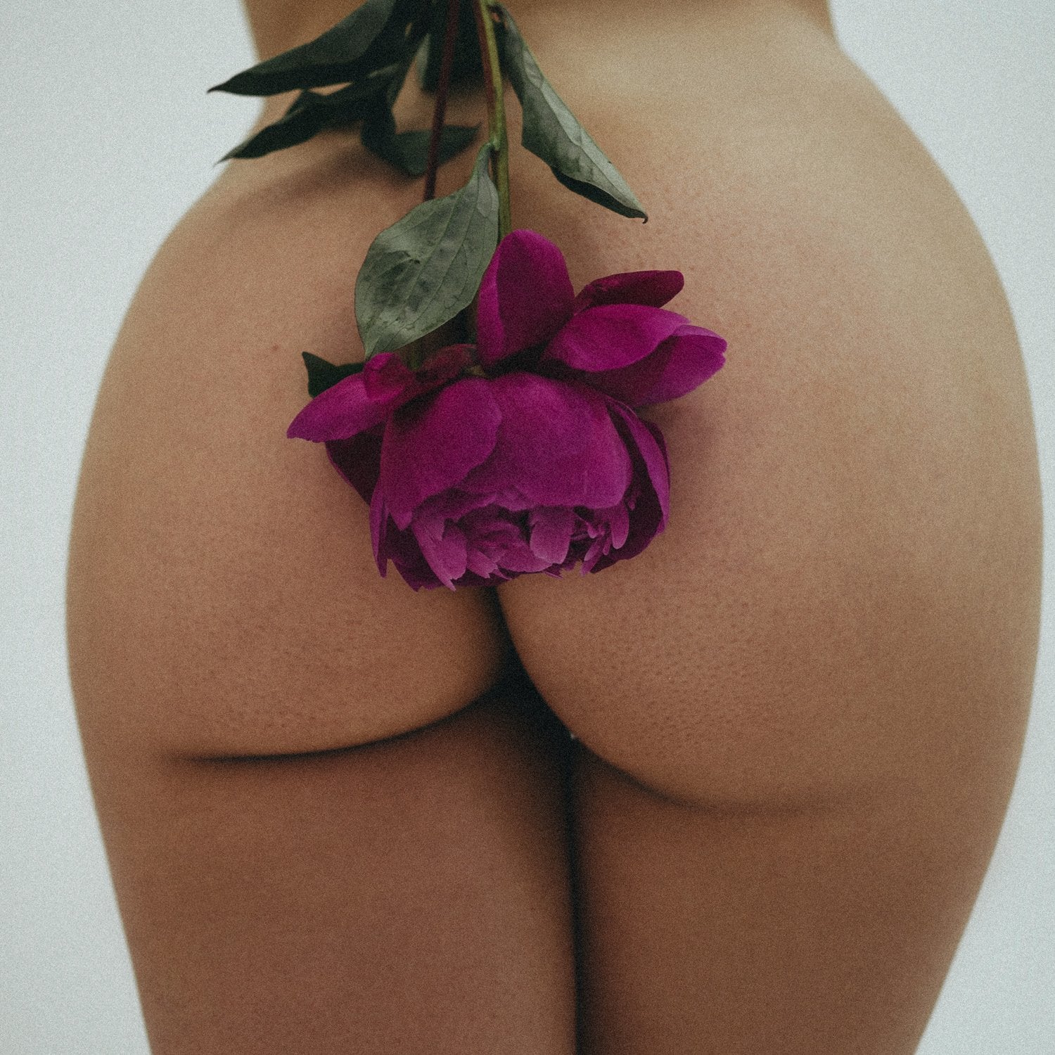 Anal Toys
